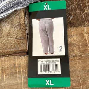 Briggs Blue Stripe Pants NWT